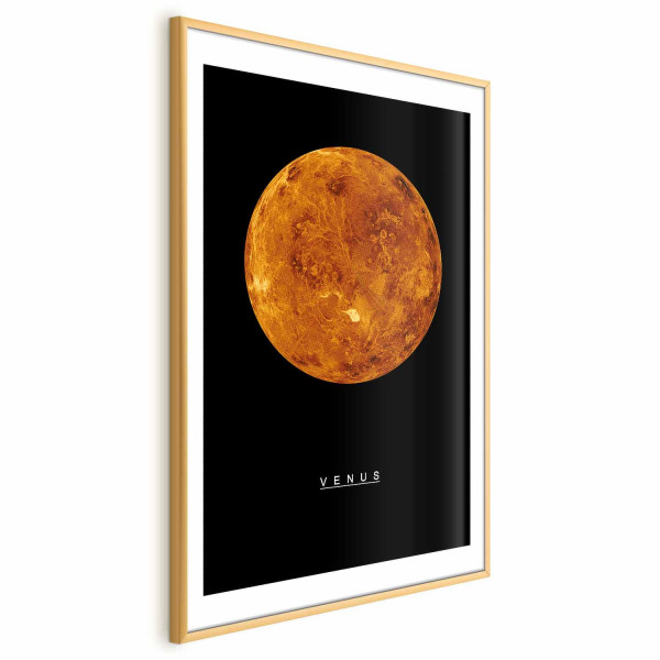 Plakat Wenus 60x90 cm 581915