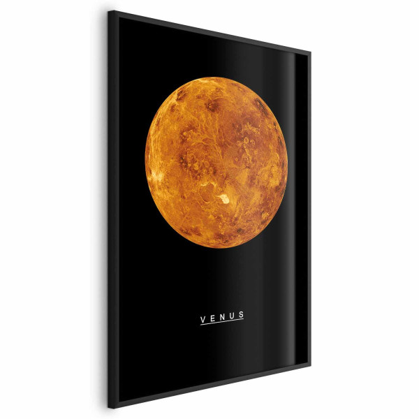 Plakat Wenus 60x90 cm 589877