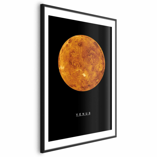 Plakat Wenus 60x90 cm 577335