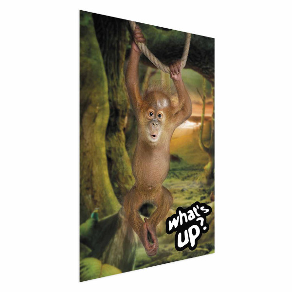 Plakat What's Up 29,7x42 cm 585361
