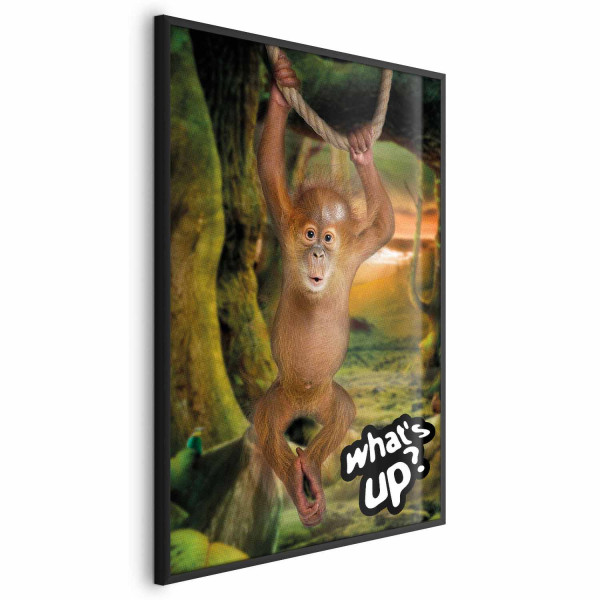 Plakat What's Up 40x60 cm 590938