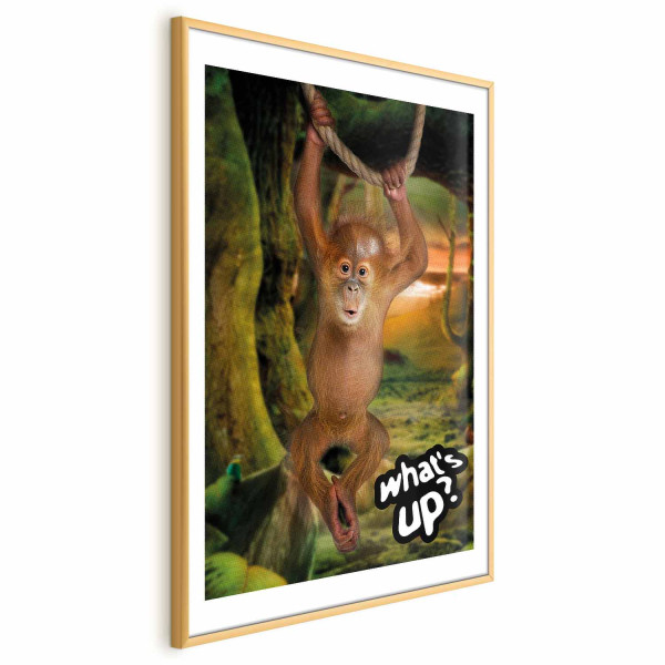 Plakat What's Up 60x90 cm 586067