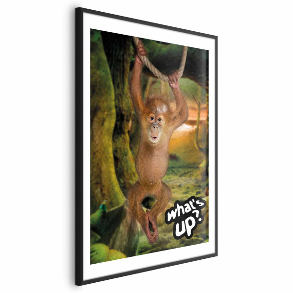 Plakat What's Up 60x90 cm 589218