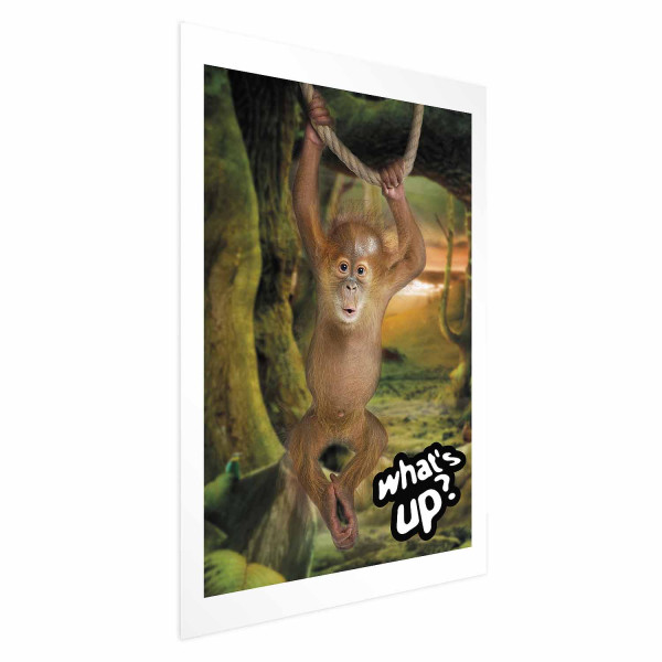 Plakat What's Up 60x90 cm 578950
