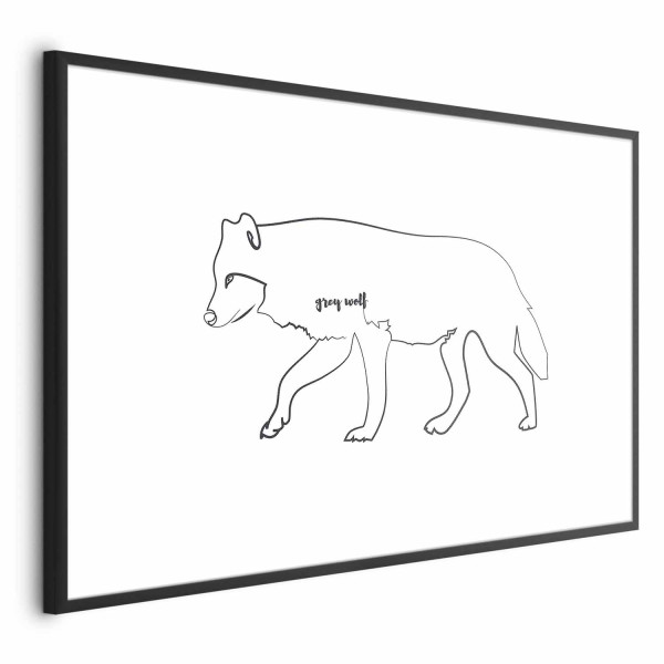 Plakat Wilk 60x40 cm 589119