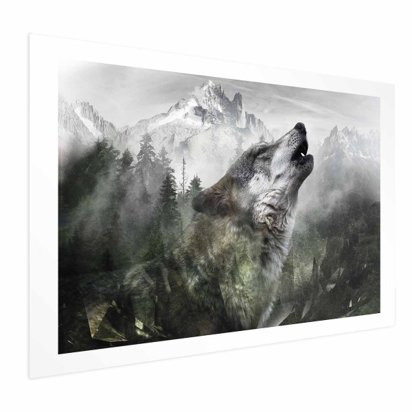 Plakat Wyjący wilk 30x21 cm 584490