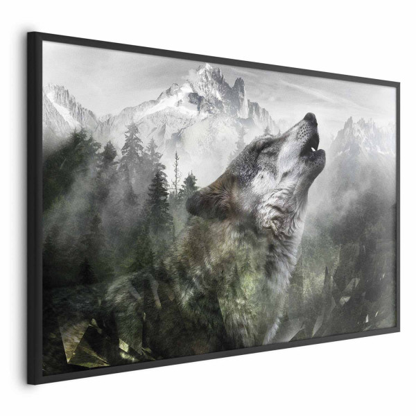 Plakat Wyjący wilk 60x40 cm 578565