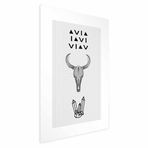 Plakat Zwierzęca czaszka 21x30 cm 586462