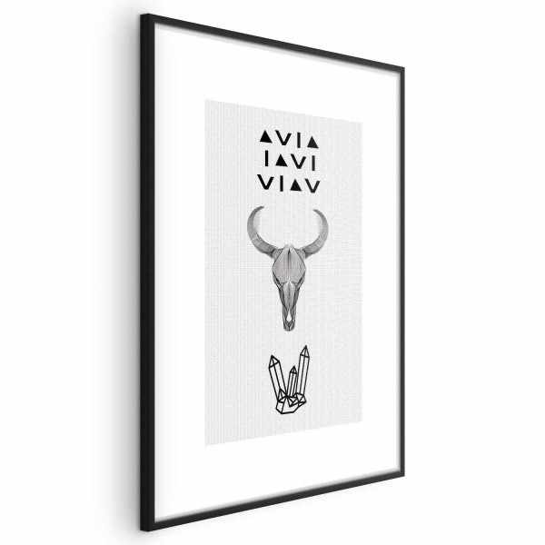 Plakat Zwierzęca czaszka 29,7x42 cm 581256