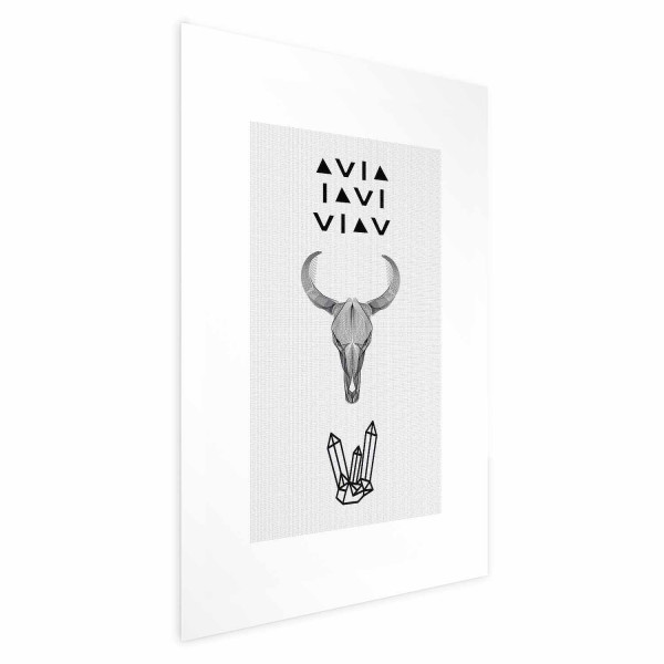 Plakat Zwierzęca czaszka 40x60 cm 583414